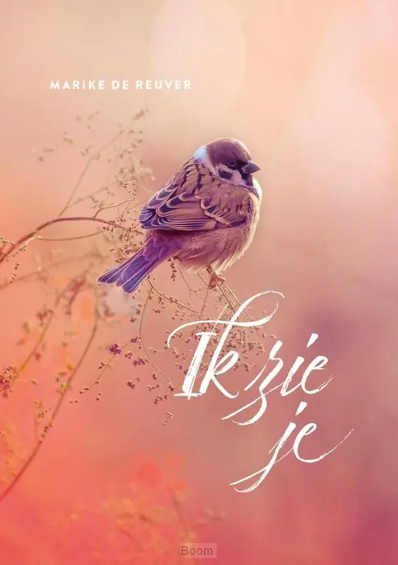 Ik zie je Koop Online
