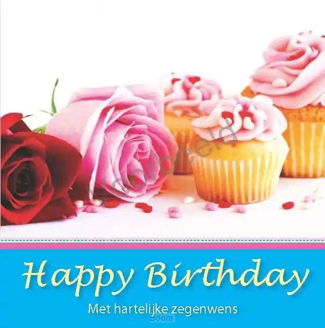 Exclusieve Aanbieding Happy birthday geschenkboek