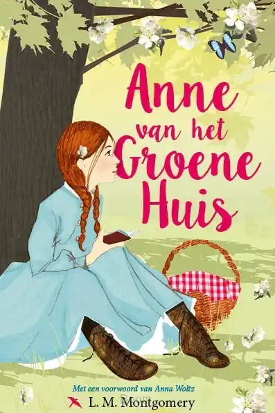 Anne van het groene huis Direct Verzonden