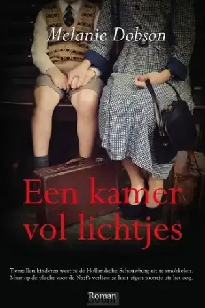 Een kamer vol lichtjes Actieprijs