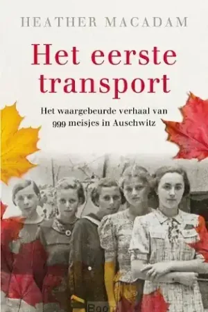 Lage Prijs Het eerste transport