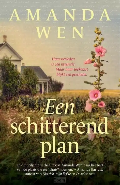 Een schitterend plan Lage Kosten