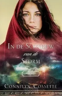 Actieprijs In de schaduw van de storm