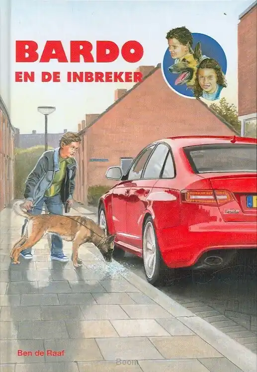Gereduceerde Prijs Bardo en de inbreker