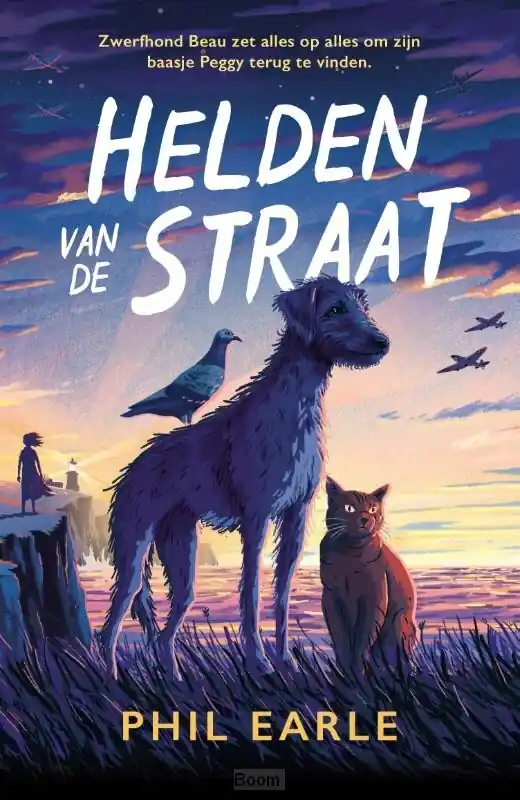 Helden van de straat Actieprijs