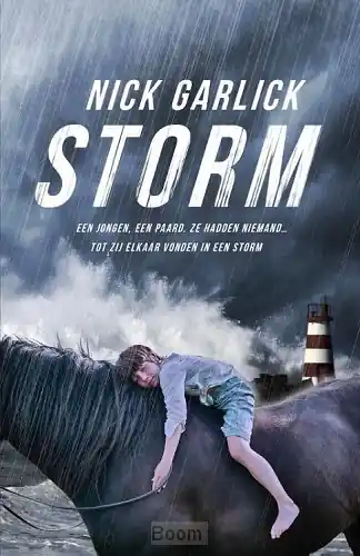 Veilige Betaling Storm
