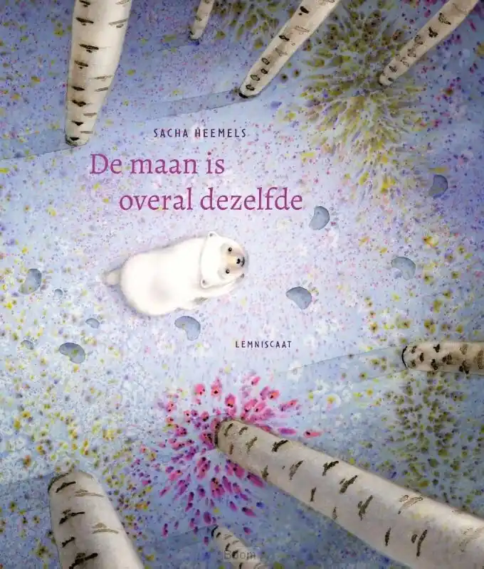 De maan is overal dezelfde Snelle Levering
