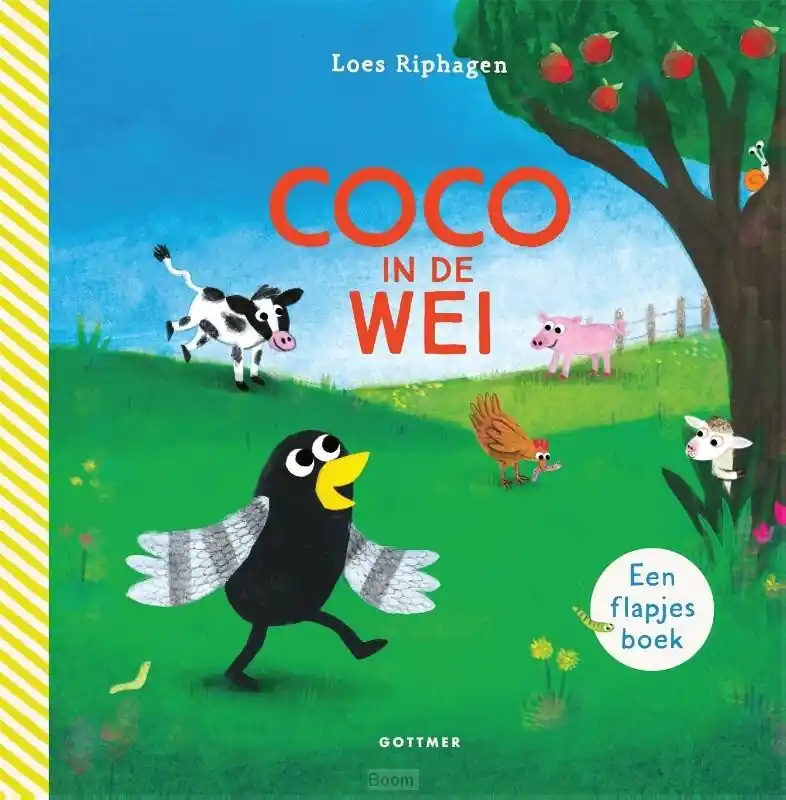 Alleen Vandaag Coco in de wei