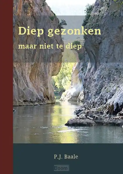 Actieprijs Diep gezonken maar niet te diep