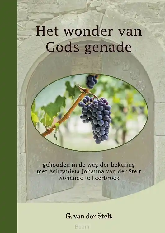 Rechtstreeks Van De Fabrikant Wonder van Gods genade