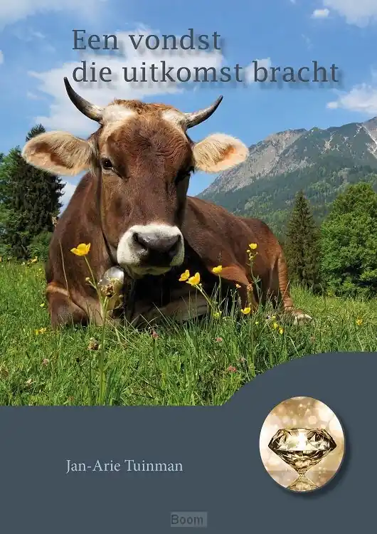 Vondst die uitkomst bracht Lage Kosten