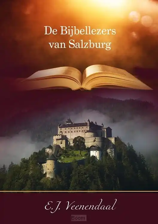 Snelle Levering Bijbellezers van salzburg