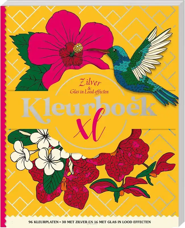Kleurboek XL - Zilver & Glas in lood eff Aanbieding