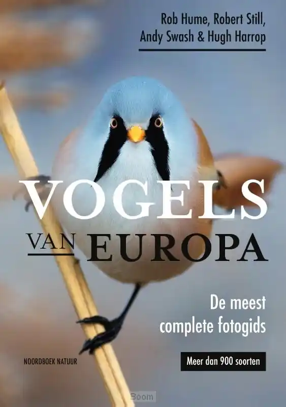 Koop Online Vogels van Europa