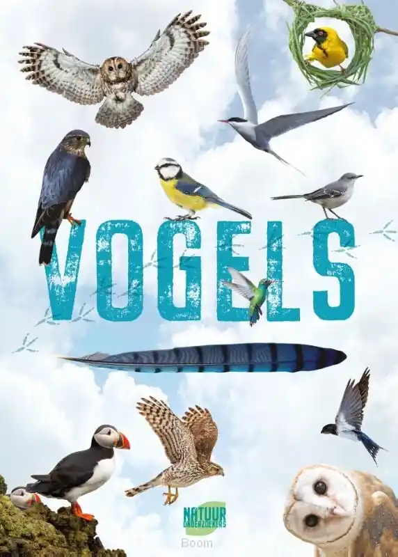 Hete Deal Natuuronderzoekers Vogels