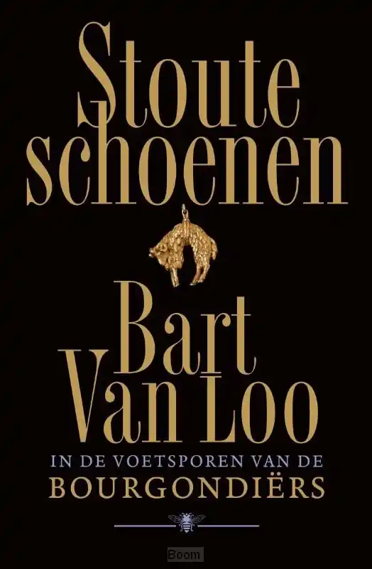Stoute schoenen Dagaanbieding