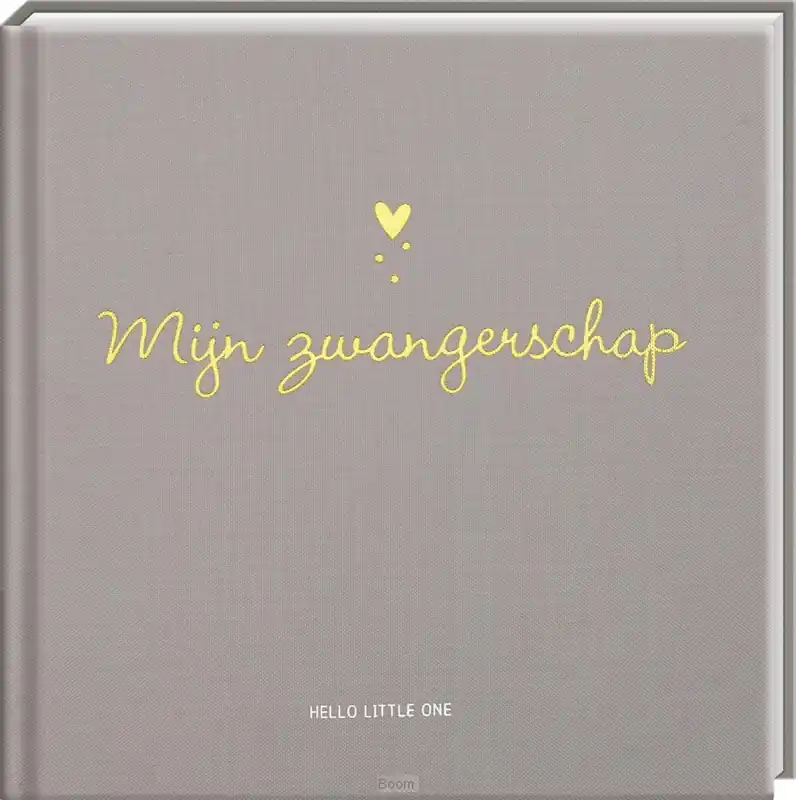 Uitverkoop Baby invulboeken - Mijn zwangerschap