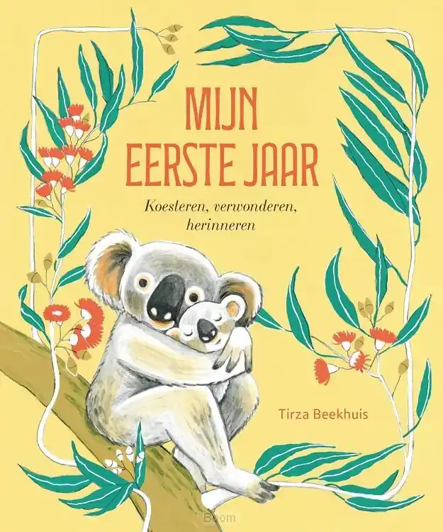 Veilige Betaling Mijn eerste jaar