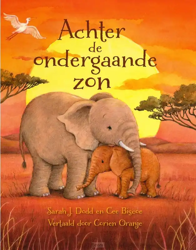 Achter de ondergaande zon Rechtstreeks Van De Fabrikant