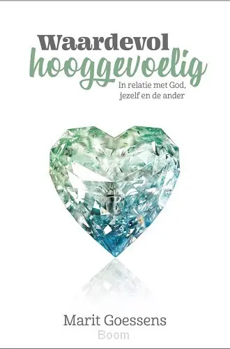 Waardevol hooggevoelig Veilige Betaling