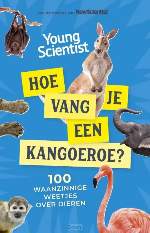 Hoe vang je een kangoeroe? Hoge Kwaliteit