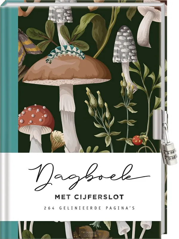 Bestel Nu Dagboek met slot voor volwassenen