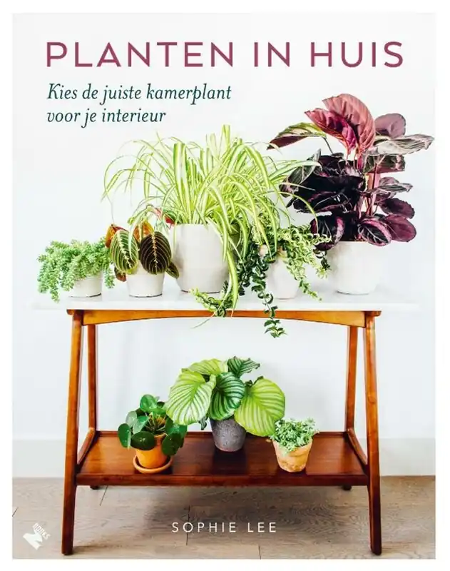 Planten in huis - Sophie Lee Alleen Vandaag