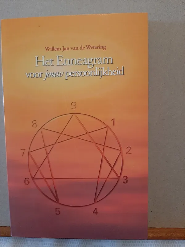 Alleen Vandaag Het Enneagram voor jouw persoonlijkheid - Jan Willem van de Wetering