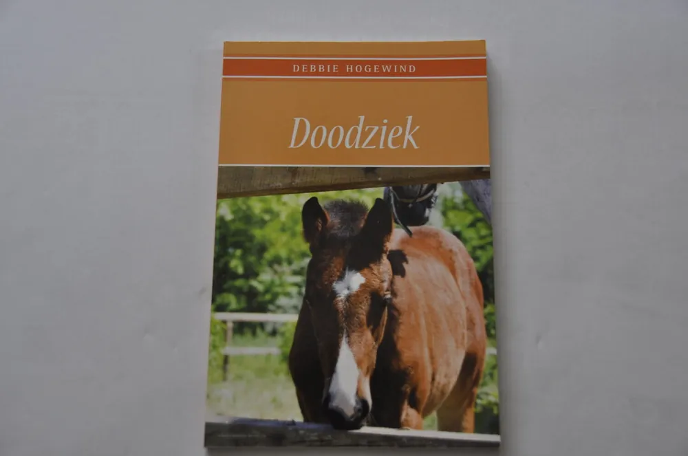Koop Online Doodziek - Debbie Hogewind