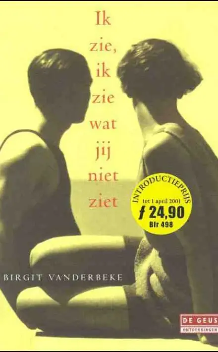 Favoriet Ik zie, ik zie wat jij niet ziet - Birgit Vanderbeke