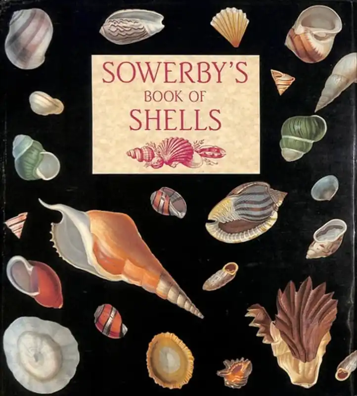 Meest Verkocht Sowerby's Book of Shells - G. B. Sowerby Jr.