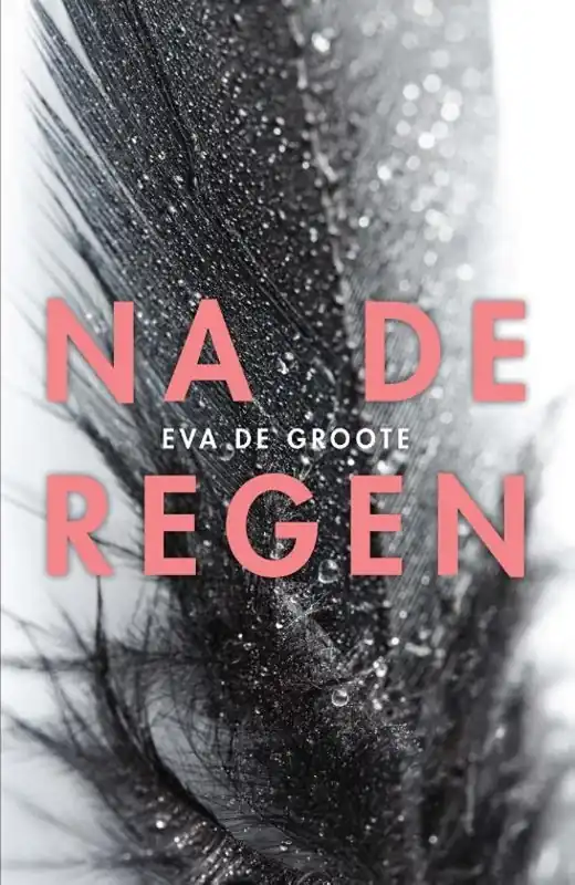 Hete Deal Na de regen - Eva De Groote