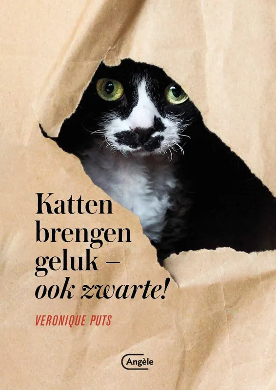 Koop Online Katten brengen geluk (ook zwarte!) - Veronique Puts