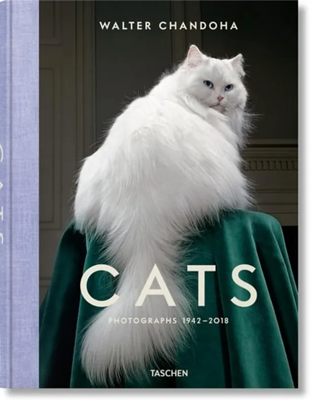 Dagaanbieding Cats: Photographs 1942 - 2018 - Susan Michals