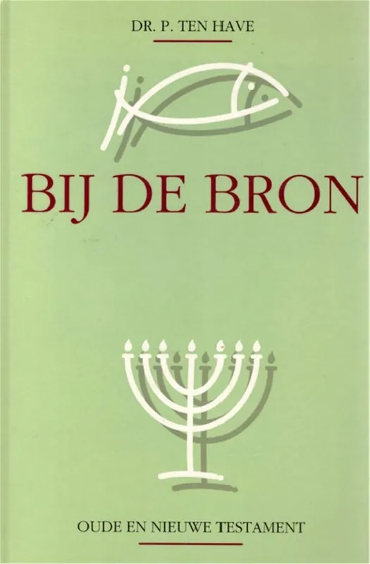 Direct Verzonden Bij de bron - P. ten Have
