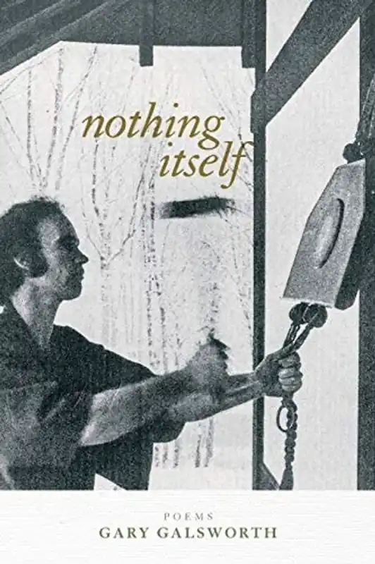 Nothing Itself Poems - Gary Galsworth Nu Kopen