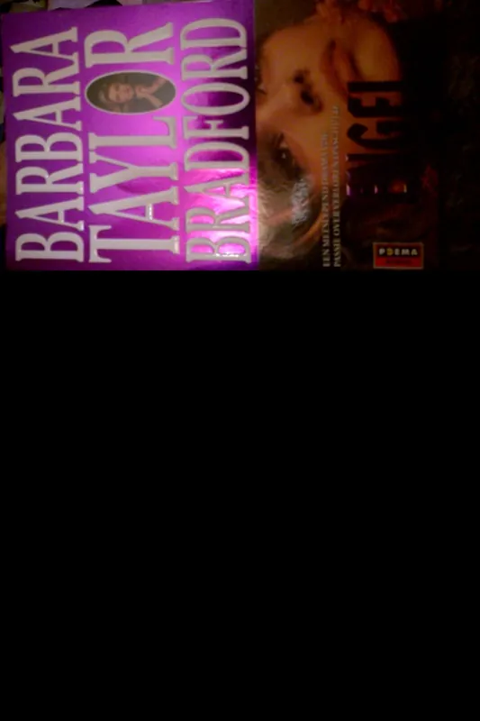 Engel - Barbara Taylor Bradford Tijdelijk Beschikbaar