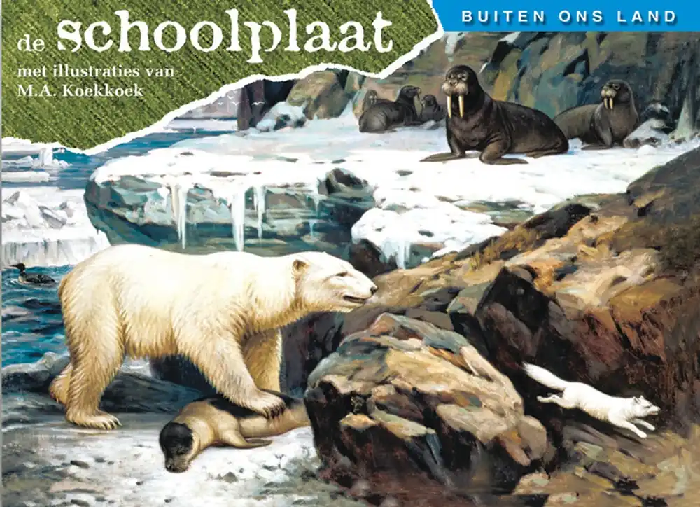 Rechtstreeks Van De Fabrikant De schoolplaat Buiten ons land - Koekkoek, M.A. (illustraties)