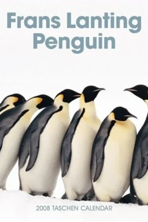 08 Wall Calendar Penguin, Frans Lanting - Frans Lanting Meest Verkocht
