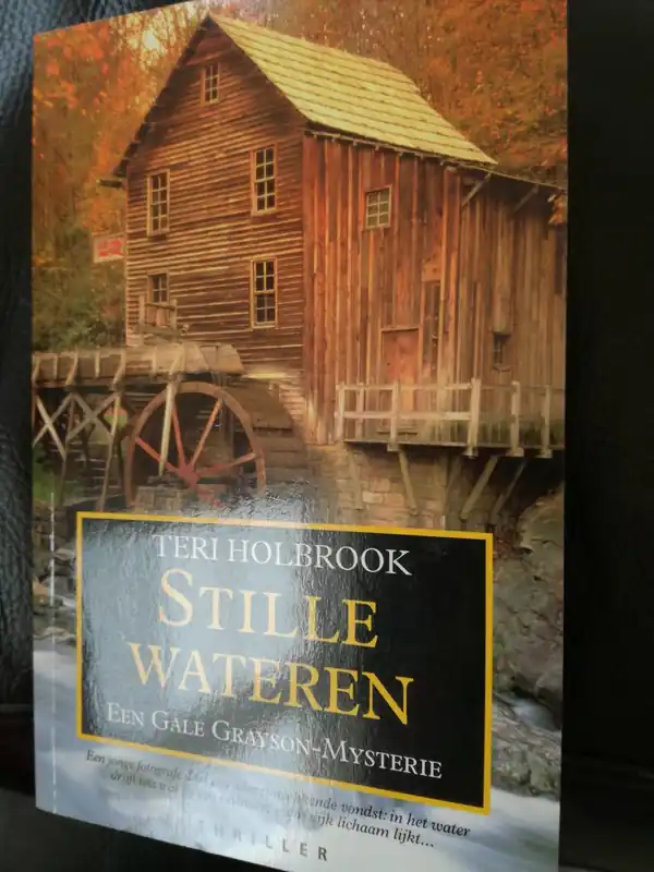 Beste Prijs Stille Wateren - Teri Holbrook