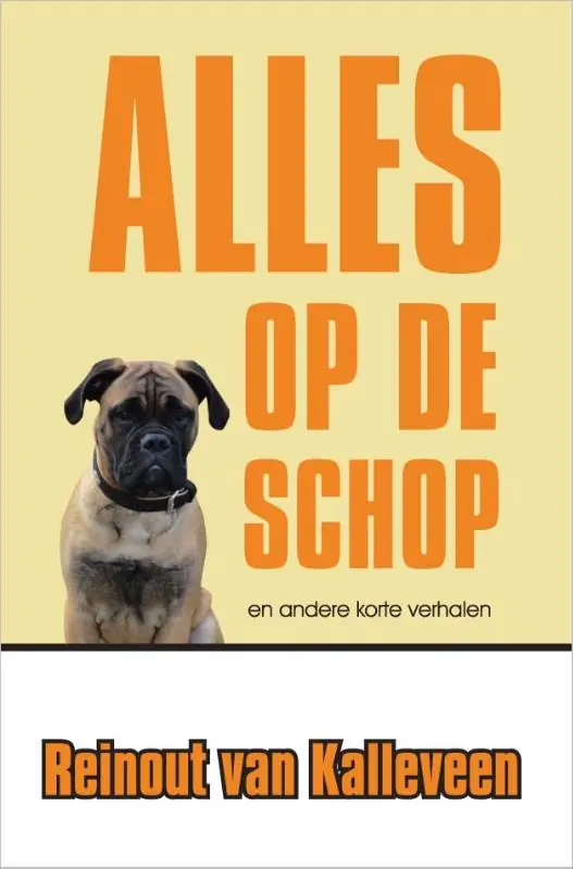 Alleen Vandaag Alles op de schop - Reinout Kalleveen