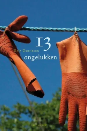 13 ongelukken - Rein Gerritsen Beste Prijs