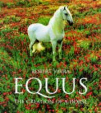 Tijdelijk Beschikbaar EQUUS - Robert Vavra
