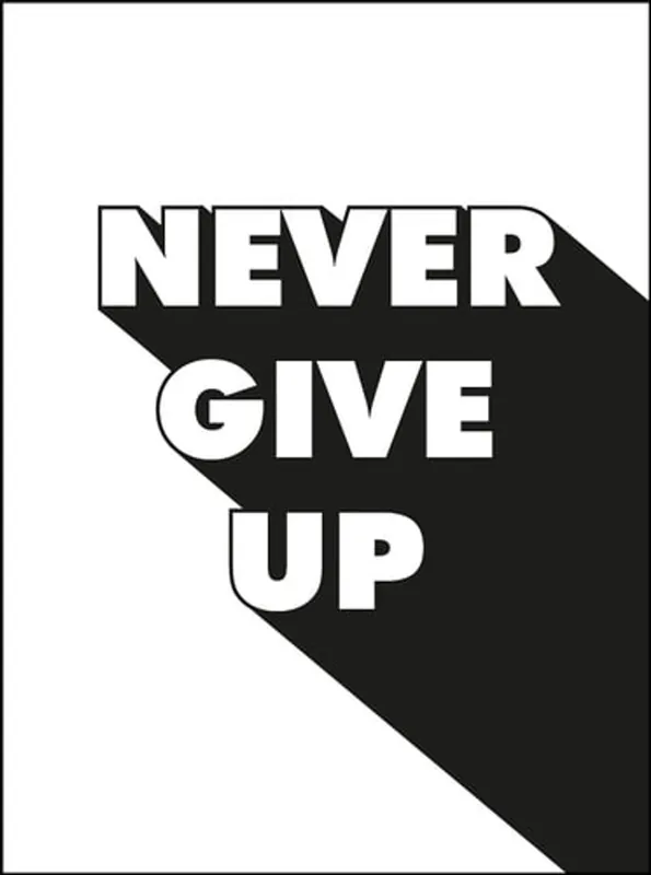 Betaalbaar Never Give Up - Summersdale