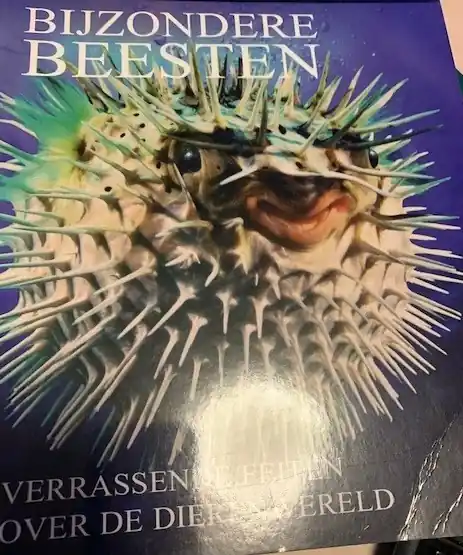 Bijzondere Beesten - Jacqui Bailey Uitverkoop