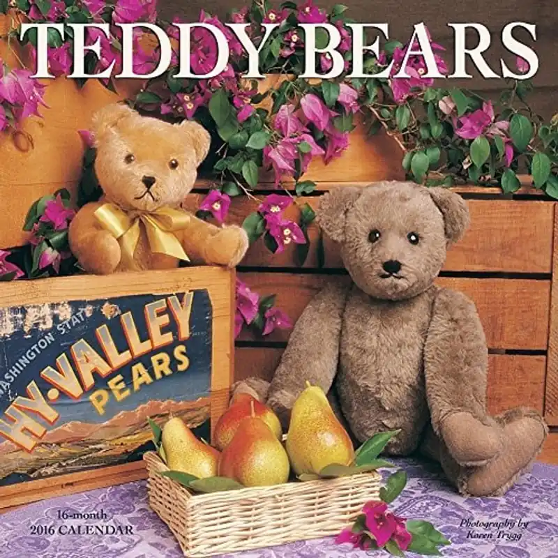 Nu Kopen Teddy Bears 2008 Wall Calendar - Mirja de Vries