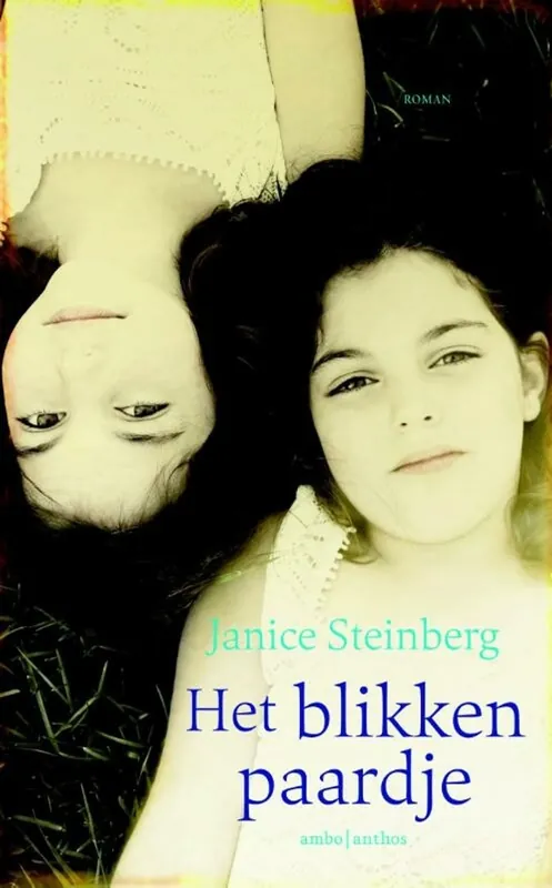Populair Het blikken paardje - Janice Steinberg