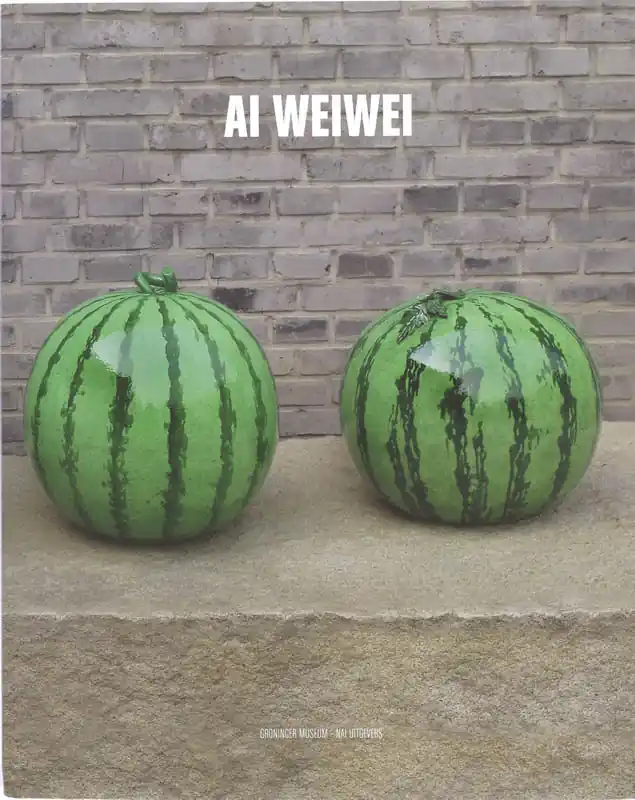 Ai Weiwei - Karen Smith Flitsaanbieding