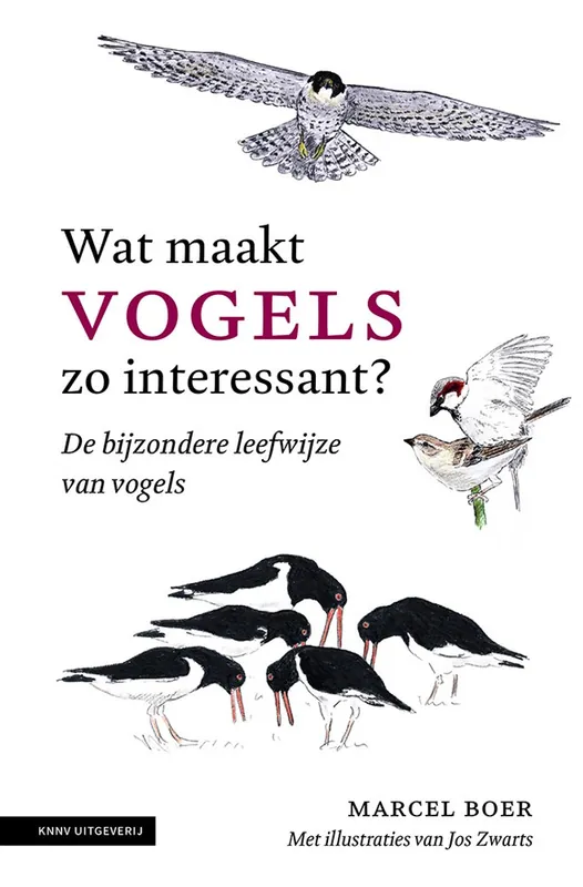 Uitverkoop Wat maakt vogels zo interessant? - Marcel Boer