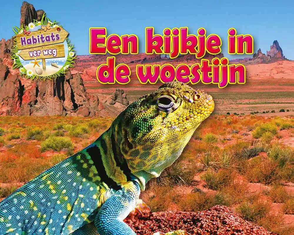 Een kijkje in de woestijn / Druk 1 Betrouwbaar